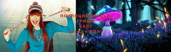 прущие крисы Алексеевка